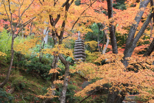 Jyojyakkoji temple, Kyoto